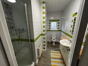 ein Badezimmer mit Dusche, Toilette und Waschbecken in der Unterkunft The Innbetween in Pembroke Dock