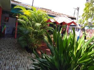 a garden with plants and an umbrella in front of a building at Pousada Nosso cantinho in Belém