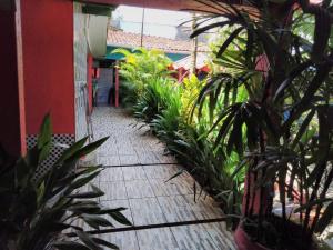 a courtyard with plants and a red building at Pousada Nosso cantinho in Belém +1 photo