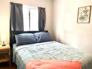a bedroom with a bed with blue pillows and a window at Queen Bed Private Room Shared Living Spaces in Johnson City