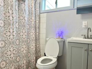 a bathroom with a toilet and a shower curtain at Private Room-Shared Common Spaces-Queen Bed in Johnson City