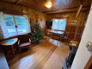 an aerial view of a living room with a christmas tree at Chata v Poustce in Benecko