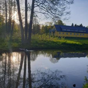 a building next to a body of water with a building at Pension Kursprung in Bad Brambach