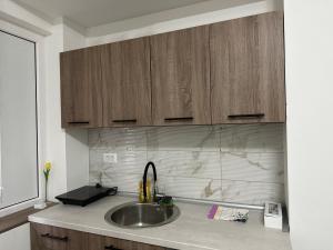 a kitchen with a sink and wooden cabinets at Happy moments Studio Kraljevo in Kraljevo