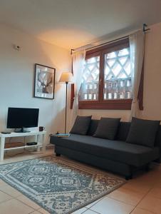 a living room with a couch and a television at Mountain Suite in Raveo