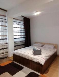 a bedroom with a large bed in a room at Yoa Apartaments in Floreşti
