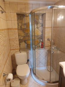 a bathroom with a toilet and a shower at Andromahi Stone House in Stemnitsa +25 photos