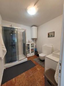 a bathroom with a shower and a toilet at Apartment für 4 Personen mit Jacuzzi und Pool in Lovran +22 photos