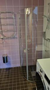 eine Dusche mit Glastür im Badezimmer in der Unterkunft Tellus Apartment in Lund