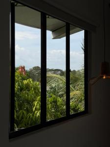 a window with a view of a jungle at Casa Del Río in Montería