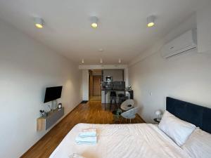 a bedroom with a bed and a living room at Harmony Studio Suite in Jagodina