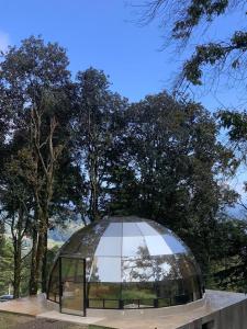 a dome of a building with trees in the background at Mineral Glamping Experience in Mineral del Chico +7 photos