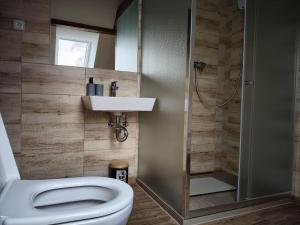 a bathroom with a toilet and a sink and a shower at Penzion U Koruny in Ústí nad Labem +22 photos