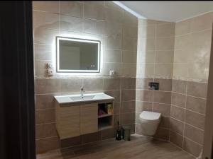 a bathroom with a sink and a toilet at Chez aurelie in Agnin