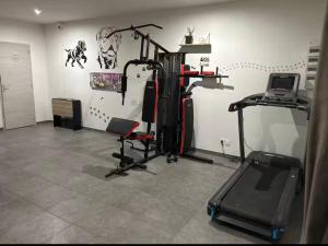 a room with a gym with equipment in it at Chez aurelie in Agnin