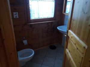 a small bathroom with a toilet and a sink at Ferienwohnung Bermbach in Weilburg