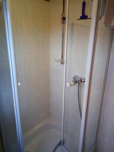 a bathroom with a shower and a bath tub at Ferienwohnung Bermbach in Weilburg