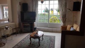 a living room with a dog sitting on a coffee table at La choletaise spacieuse et proche des axes routiers in Cholet
