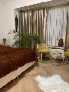 a bedroom with a bed and a plant and a window at logies One Room, Sea view in Ostend