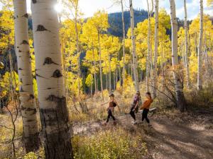 three men running through a grove of aspen trees at Vantage Point in Vail