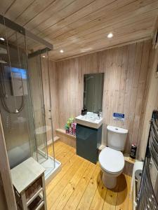 a bathroom with a toilet and a sink and a shower at Duxford Lodge, Cholsey in Cholsey