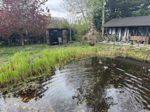 a pond in the yard of a house at Duxford Lodge, Cholsey in Cholsey