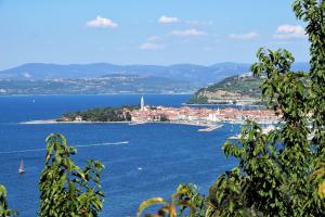 a view of a city from the water at Fisherman's Lounge in Izola