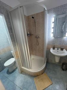 a bathroom with a shower and a toilet and a sink at Apartmán Ella - Riegrova 41 in Děčín