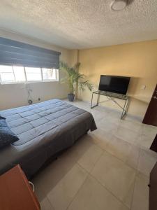 a bedroom with a large bed and a flat screen tv at Depa Balbuena in Guadalajara