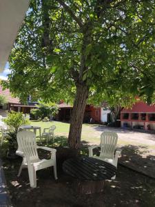 two white chairs sitting next to a tree at Las Grullas in Villa Gesell
