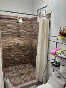 a bathroom with a shower and a toilet at Virginia's apartaments in Omoa