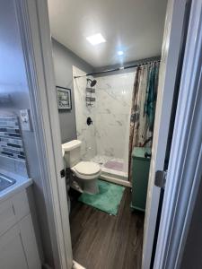 a small bathroom with a toilet and a shower at Cozy Cove in Lithonia