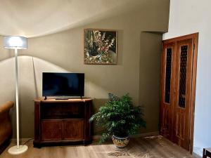 a living room with a television and a potted plant at Atelier Salvetti in Colle di Val d'Elsa