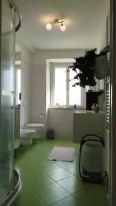 ein Badezimmer mit zwei Toiletten und einem grünen Boden in der Unterkunft Buonacqua in Tavigliano + 7 Fotos