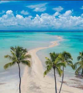 two palm trees on a beach with the ocean at Flat casa de madeira in São José da Coroa Grande