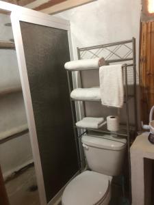 a bathroom with a toilet and a shelf with towels at Cabañas Cinco Elementos in Celestún