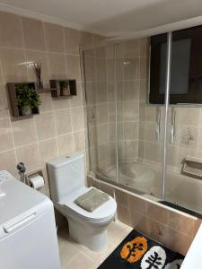 a bathroom with a white toilet and a shower at Με θέα το Κάστρο Apartment in Nafpaktos +14 photos