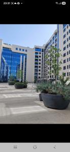 a row of potted plants in front of a building at Divna-Besplatan parking in Banja Luka