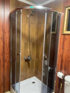 a shower with a glass door in a bathroom at Departamentos NAYISI in Puerto Natales +22 photos