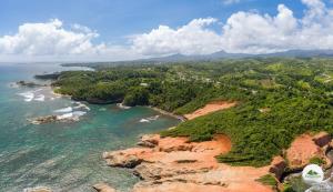an aerial view of the shoreline of the ocean at Hummingbird House in Calibishie