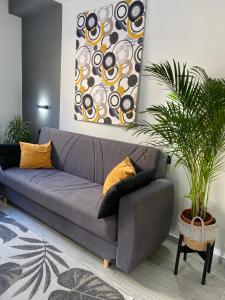 a gray couch in a living room with a plant at Luxury Sofi in Giardini Naxos +33 photos