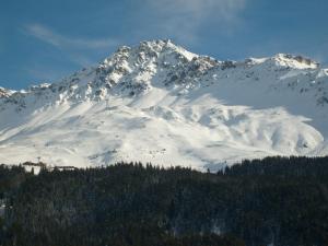 ein schneebedeckter Berg mit Bäumen davor in der Unterkunft Mountain Studio, Lenzerheide in Lenzerheide