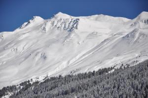 ein schneebedeckter Berg mit Bäumen davor in der Unterkunft Mountain Studio, Lenzerheide in Lenzerheide