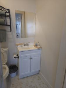a bathroom with a white sink and a mirror at Twin Nest Duplex in Irving