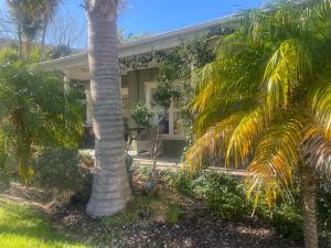a palm tree in front of a house at Bosuns Locker in Auckland