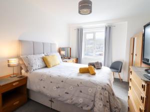 a bedroom with a bed with a television and a desk at Arnant in Dolgellau