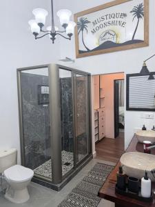 a bathroom with a glass shower with a toilet at The House Next Door in Calliaqua +56 photos