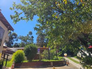 a tree in the middle of a yard at Hostel Yellow House MG in Itamonte