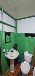 a green bathroom with a toilet and a sink at Anita's Apartment in Upala