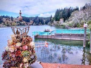 a bouquet of flowers on the side of a lake at Siltcoos Station in Siltcoos +14 photos